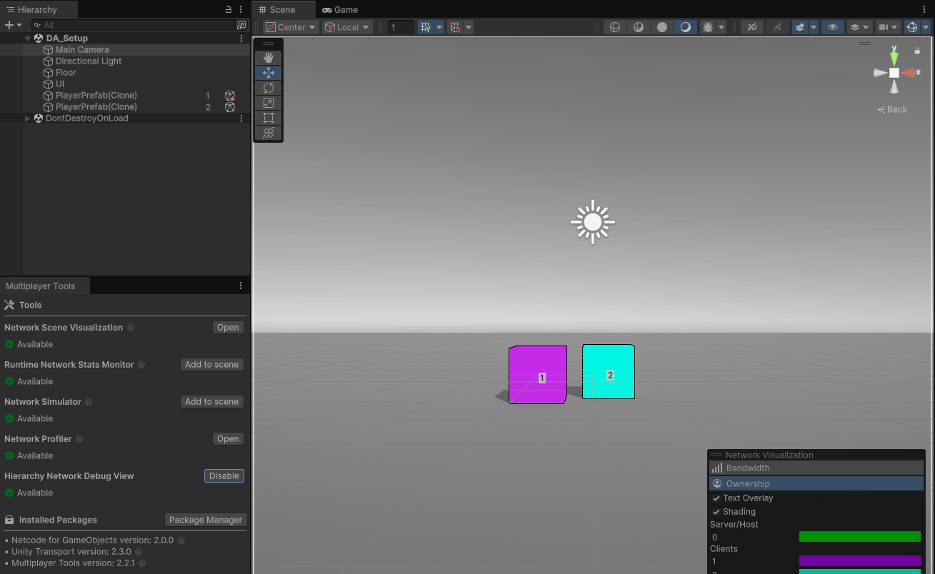 Screenshot of the Hierarchy Network Debug View enabled with Network Scene Visualization tool