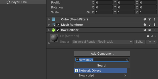 add a NetworkObject component